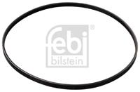 febibilstein FEBI BILSTEIN Keilrippenriemen 177990 9091602721 Rippenriemen