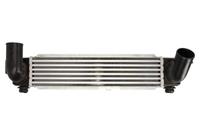 Intercooler THERMOTEC DA03004TT