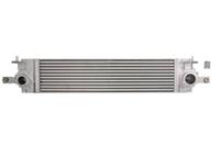 Intercooler THERMOTEC DA1010TT