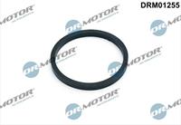 Dr.Motor Automotive Dichtung, Ölkühler unten  DRM01255