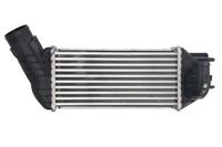 Intercooler THERMOTEC DAC019TT