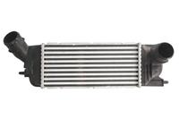 Intercooler THERMOTEC DAC009TT