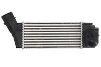 Intercooler THERMOTEC DAC018TT