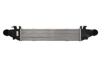 Intercooler THERMOTEC DAM022TT