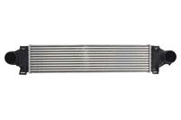 Intercooler THERMOTEC DAV007TT