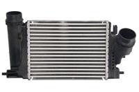 Intercooler THERMOTEC DA1009TT