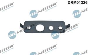 Dr.Motor Automotive Dichtung, Ölauslass (Lader)  DRM01326