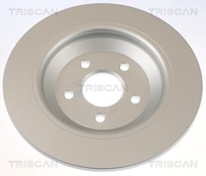 Triscan Bremsscheibe Hinterachse  8120 16187C