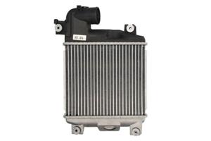 Intercooler THERMOTEC DA2004TT