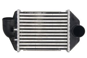 Intercooler THERMOTEC DAA028TT