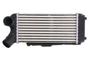 Intercooler THERMOTEC DAG024TT