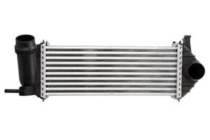 Intercooler THERMOTEC DAM019TT