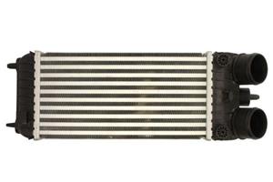 Intercooler THERMOTEC DAP007TT