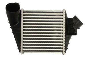 Intercooler THERMOTEC DAW015TT