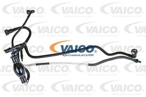 Vaico Kraftstoffleitung  V42-0784
