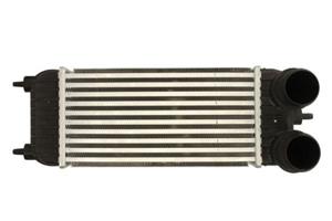 Intercooler THERMOTEC DAC023TT