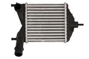 Intercooler THERMOTEC DAF014TT