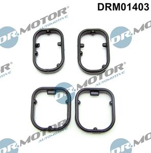 Dr.Motor Automotive Dichtungssatz, Ölkühler Thermostat außen  DRM01403