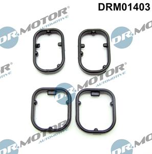 dr.motorautomotive Afdichtingsset, oliekoeler Dr.Motor Automotive DRM01403