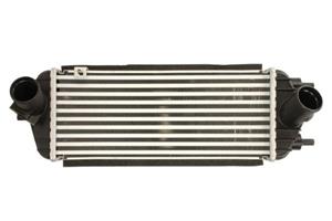 Intercooler THERMOTEC DA05006TT