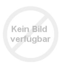 'Kenda Wintergen 2 KR501 (235/55 R17 103V)'