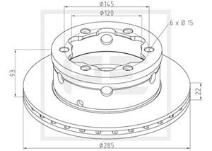 PE Automotive Bremsscheibe hinten  016.667-00A