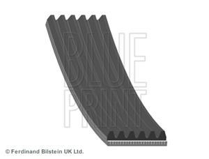Blue Print Keilrippenriemen  AD06R2195