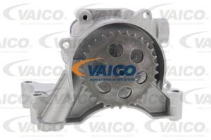 Vaico Ölpumpe  V10-6607