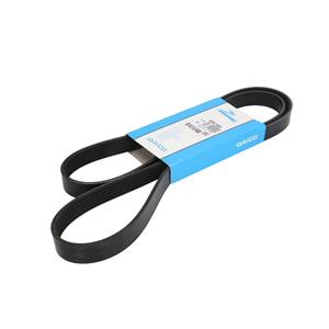 Poly V-riem DAYCO 6PK1495