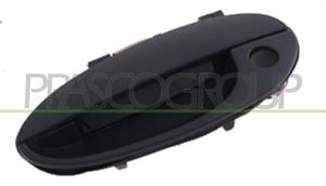Prasco Türgriff außen vorne links  DW3208002