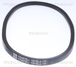 Triscan Keilriemen  8640 171045