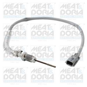 Renault Sensor, uitlaatgastemperatuur
