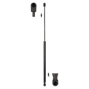 Dt Spare Parts Koppelingsplaat DT 4.61432