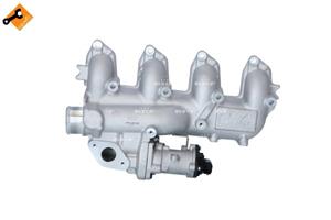 ford AGR modul