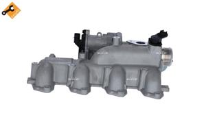 ford AGR modul