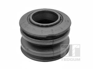Lagerung, Lenker Hinterachse hinten TedGum 00462370
