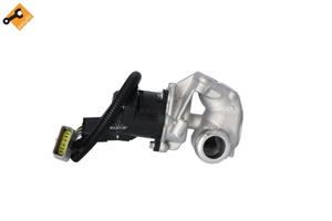 Ford EGR-klep