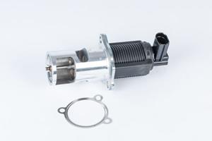 AGR-Ventil Wahler 710723D