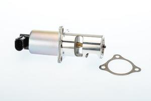 AGR-Ventil Wahler 710725D