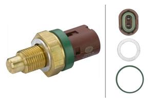 Renault Temperatuursensor