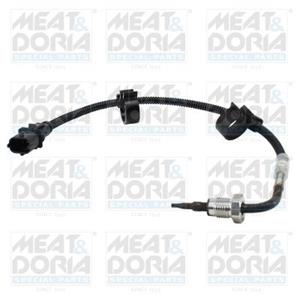 Iveco Sensor, uitlaatgastemperatuur