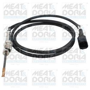 Ford Sensor, uitlaatgastemperatuur