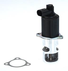 AGR-Ventil Wahler 710776D/1
