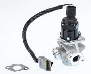 AGR Ventil WAHLER WA710936D/1