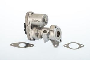 AGR-Ventil Wahler 711022D/1