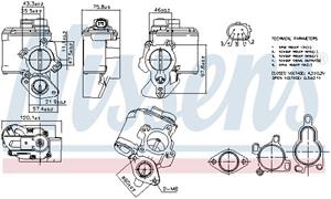 Nissan EGR-klep