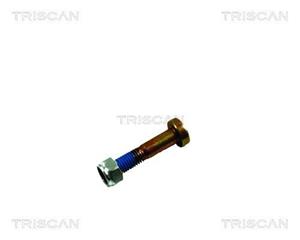 Montagesatz, Lenker Vorderachse unten Triscan 8500 16861