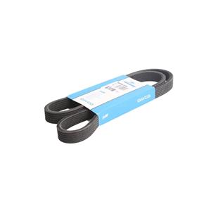 Dayco Poly V-riem  6DPK1215