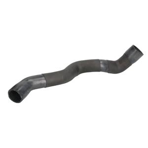 Kühlerschlauch THERMOTEC DWM072TT
