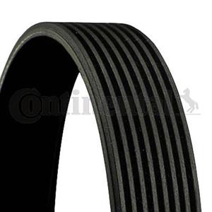 Contitech V-ribben riem  8PK1850